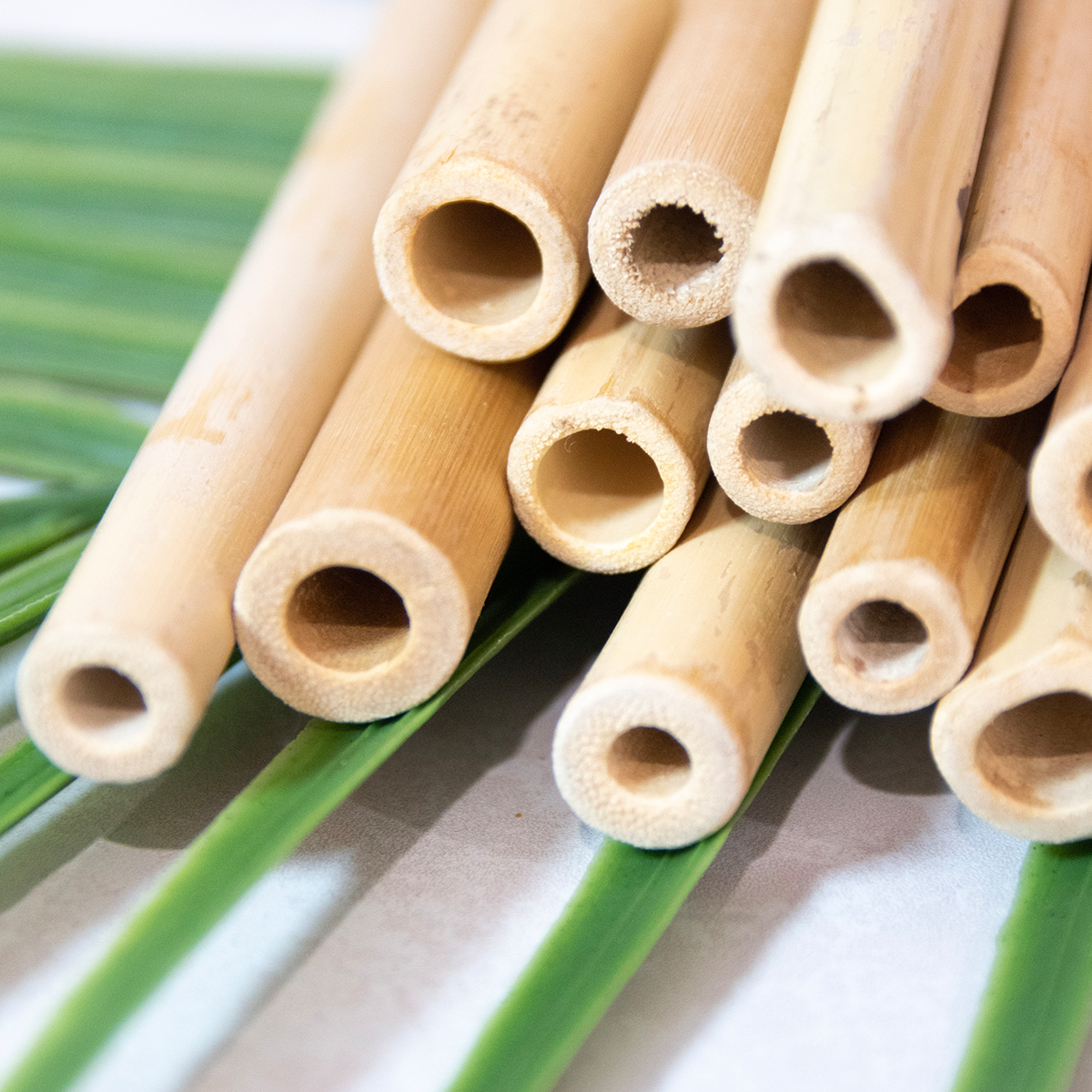 Reusable Natural Bamboo Straws 12 pack